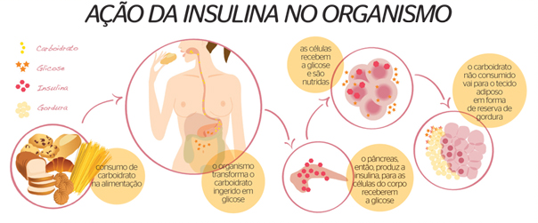 contar calorias funciona para emagrecer