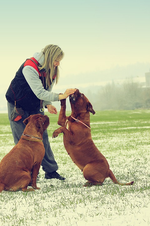 Dicas para Praticar Exercício Físico no Inverno