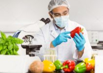 A tecnologia na alimentação: facilidades e obesidade